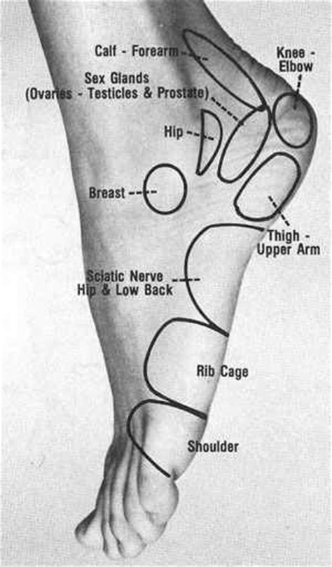 Foot Massage Pressure Points Body Beauty Muscles Pinterest