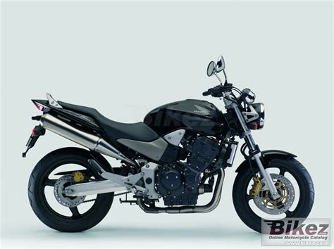 2006 honda 919 (hornet cb900f). Honda 919 - Hornet 900 picture