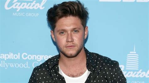 Niall Horans New Single Nice To Meet Ya Is Coming — See Its Release