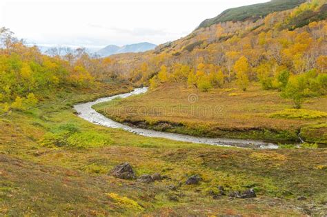 River In Mountains Beautiful Autumn Landscape In Kamchatka Near