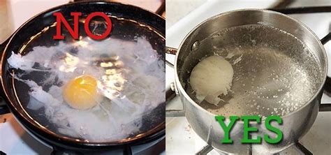 How To Make Perfect Poached Eggs Every Single Time Food Hacks Daily