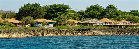 Seagrape Plantation Resort Hotel And Diveshop In West End Roatan