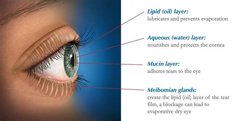Dry Eye Treatment In2eyes Optometry