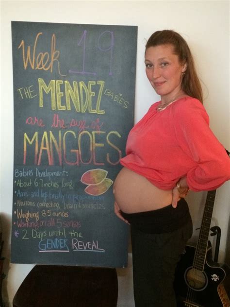 19 Weeks Pregnant With Twins The Maternity Gallery