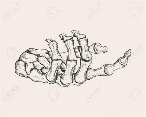 Skeleton Hand Drawing At Getdrawings Free Download
