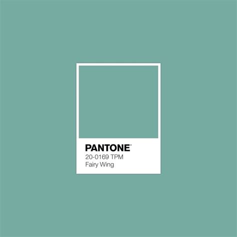 PANTONE TPM Fairy Wing Color Swatch In Pantone Colour