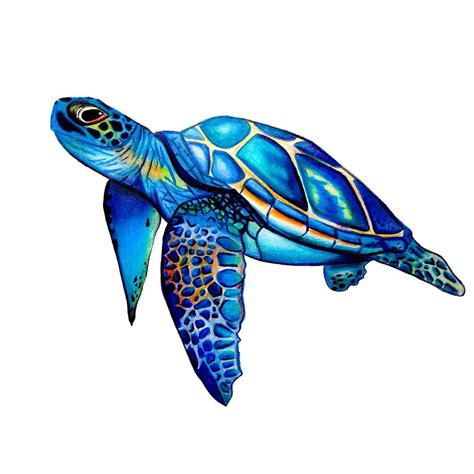 Pin By Carolina Espinosa On Inspiration For Art Block Sea Turtle