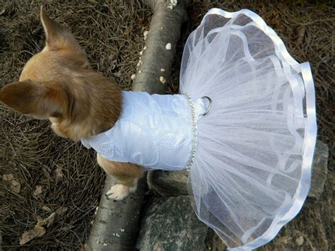 Wedding Dog Dress Bridal Dog Dress Dog Wedding By Rufflerunway
