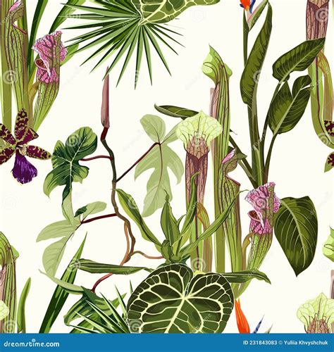 Sarracenia Clipart And Illustrations