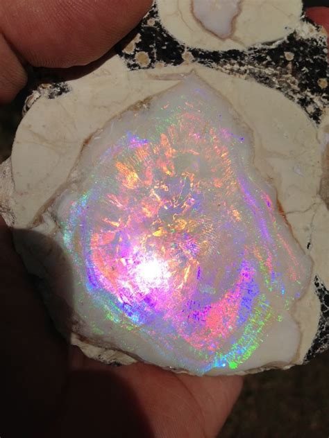 Geyser Opal From Spencer Idaho Usa Spenser Opal Was Deposited In