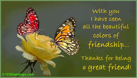 Friendship Cards Friendship Butterfly Cards Friends Are