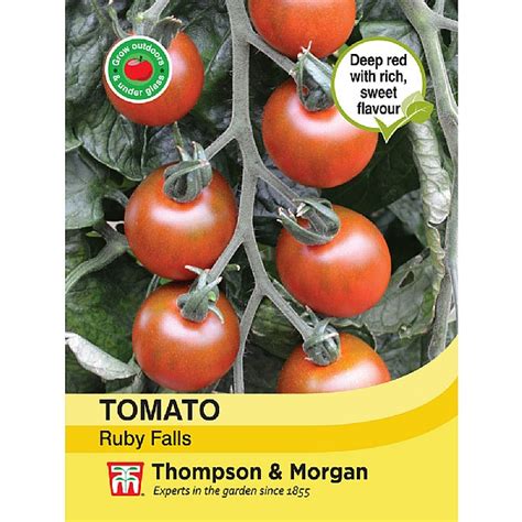 Elho Green Basics 33cm Tomato Pot Living Black Grow Your Own