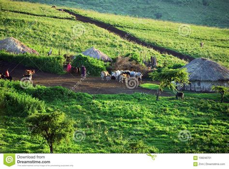 Tanzania Massai Village Africa Stock Image Image Of Green Grass