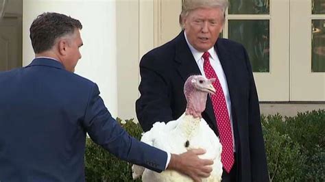president trump pardons the national thanksgiving turkey butter and its alternate bread