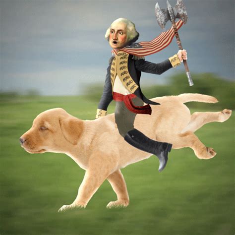 Puppy Adorable Usa Battle On My Way Omw George Washington Chris