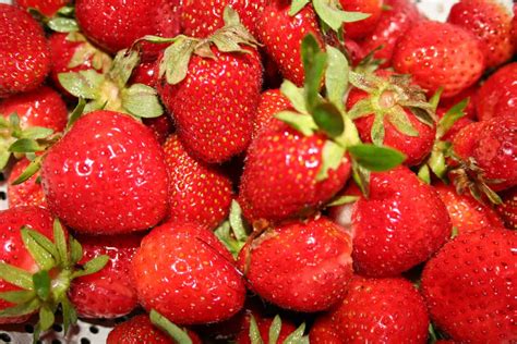 How To Grow Strawberries Home Garden Joy