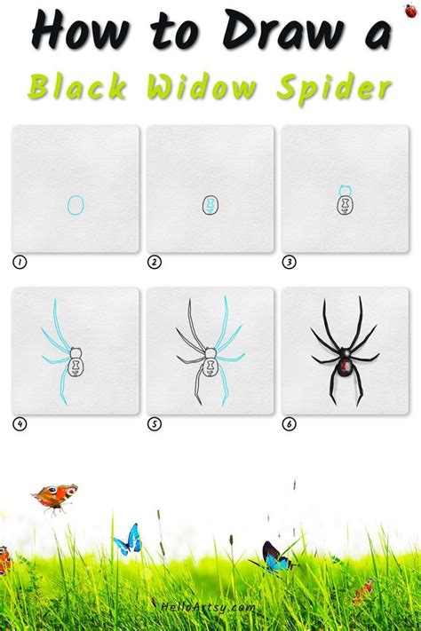 Black Widow Spider Drawing In 6 Easy Steps Spider Drawing Black
