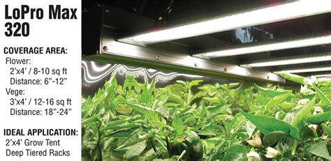 We did not find results for: GARDENING PRODUCT REVIEWS: Active Grow LoPro Max LED Grow ...