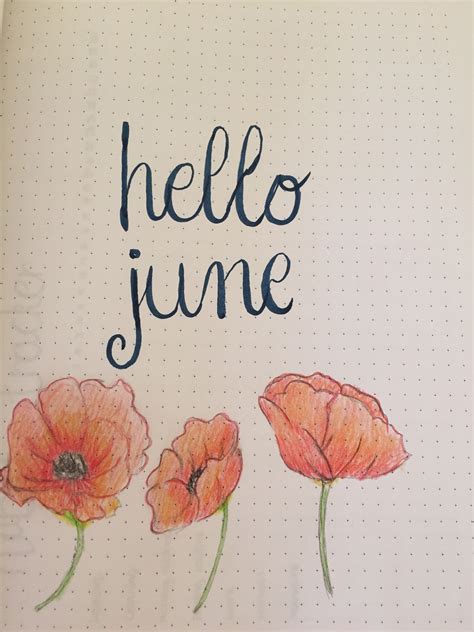 Bullet Journal Page Hello June And Poppy 🌺🌹 Bullet Journal