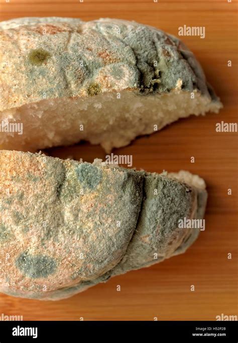 Brot schimmelig geworden Fotos und Bildmaterial in hoher Auflösung