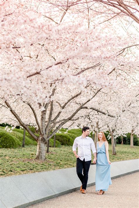 Peak Bloom Cherry Blossoms Engagement Showit Blog