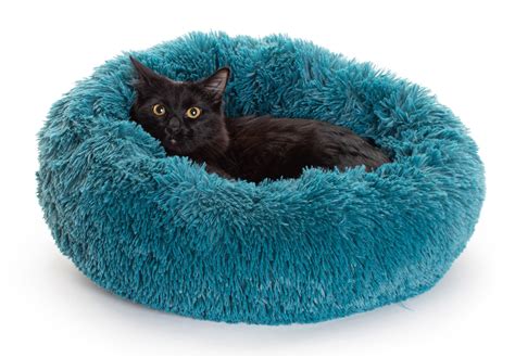 How to sleep + level up without a bed! Marshmallow Cat Bed: The Coziest Cat Bed You'll Ever Find!