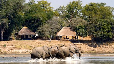 Why Zambia Should Be Your First Safari