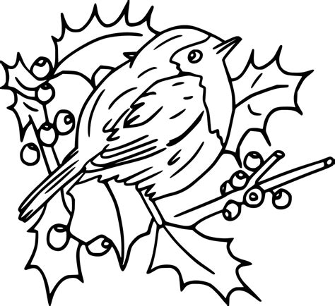 Small Robin Bird Coloring Page Download Print Or Color Online For Free