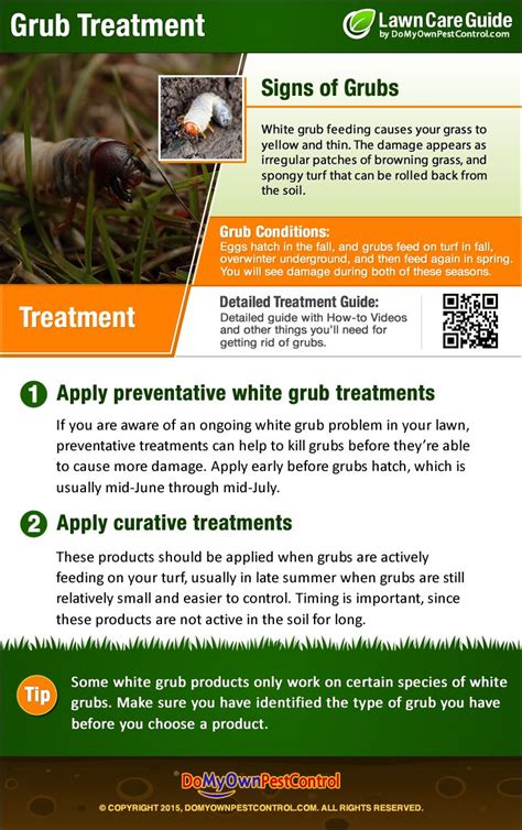 Learn The Signs If Grubs In Your Lawn And How To Get Rid Of Them On