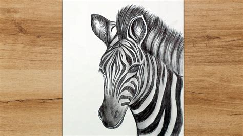 How To Draw A Zebra Head Step By Step For Kids
