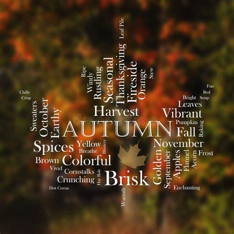 Autumn Word Cloud In The Shape Of A Leaf Stock Photo Image Of