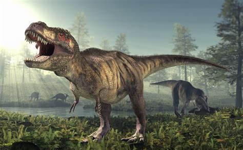 Is It Possible To Recreate Dinosaurs From Their Dna