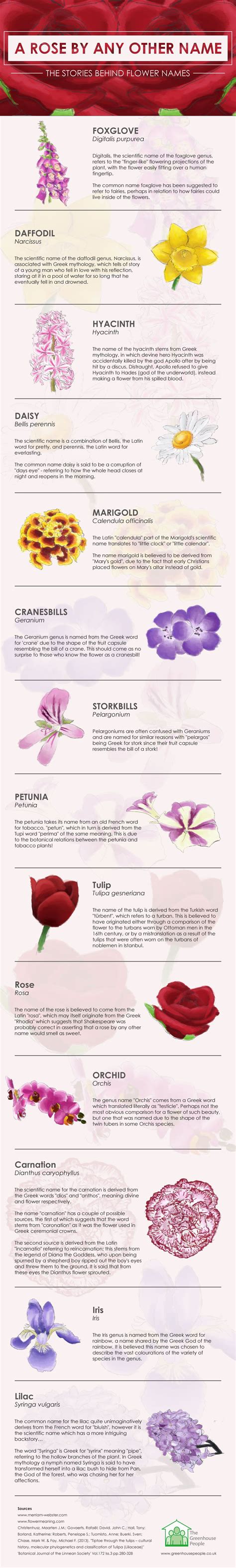 The howling of wolves was often heard at this time of year. Stories behind flower names | Flower names, Flower ...