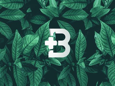 Beyond Pharmacy Brand Design by my.kdh on Dribbble