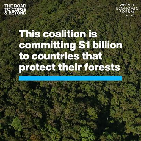 This Coalition Is Committing 1 Billion To Countries That Protect Their