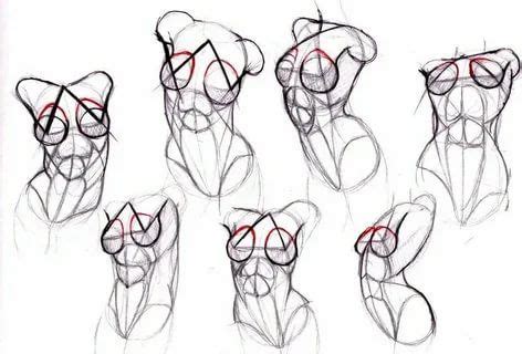 Male Figure Drawing Drawing Female Body Human Anatomy Drawing Figure