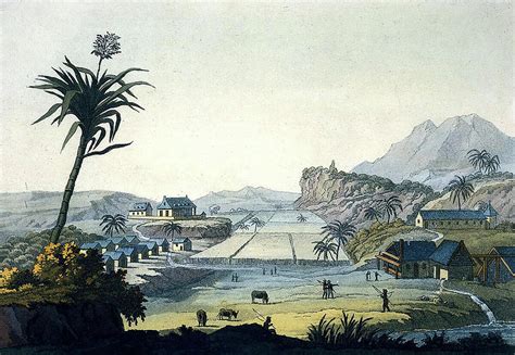 Sugar Plantation Jamaica 1821 Photograph By Wellcome Images Fine