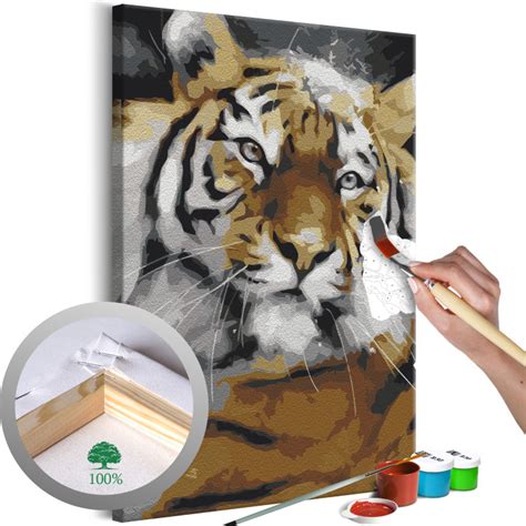 Painting By Numbers Tiger Paint By Numbers Tiger Paint By Numbers Cat