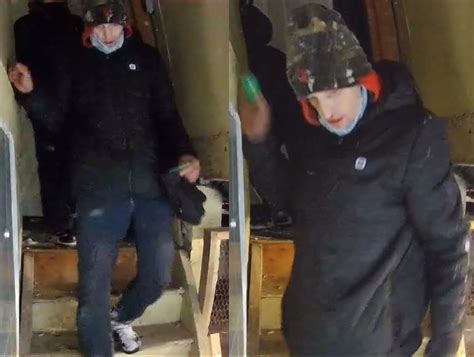 Crime: Kingston Police searching for suspects of theft | The Kingston