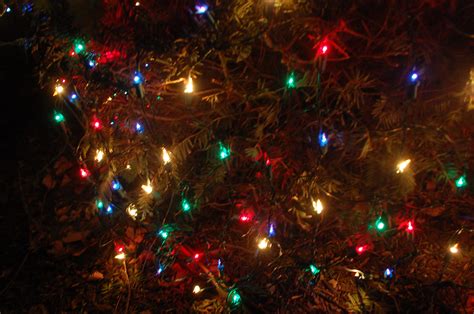 Holiday Tree Collection Will Take Place In January Positively Naperville