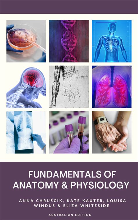 Fundamentals Of Anatomy And Physiology Unisq Open Textbooks
