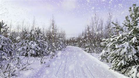 Snowfall In The Winter Forest On The Ski Track Way Road Track Stock