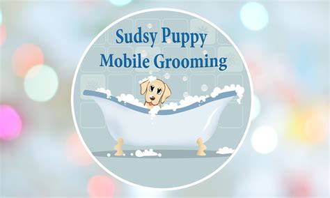 Pet Grooming at your doorstep – "Your pets are our family"
