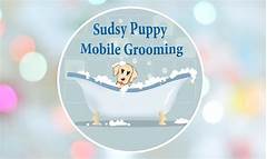 Give Your Pet The Gift Of Professional Grooming Right At Your Doorstep