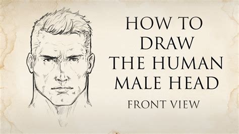 How To Draw The Human Male Head Front View Youtube