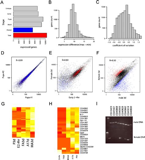 Sex Biased Expression Occurs In One Third Of Genes A On Average