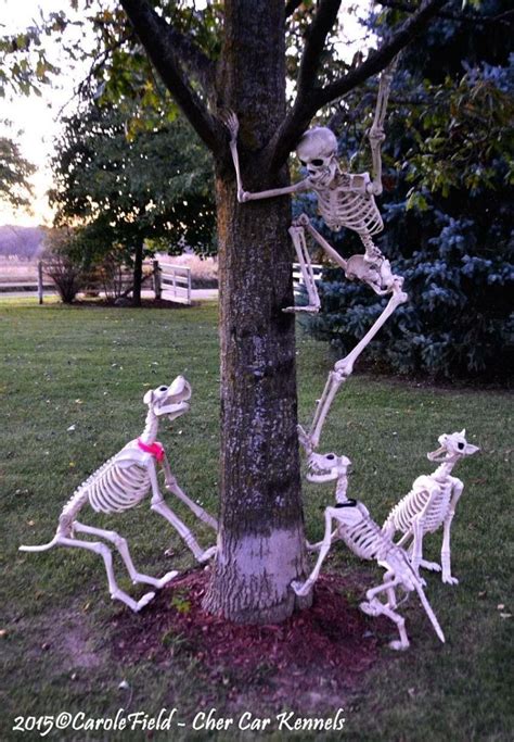 20 Halloween Skeleton Display Ideas