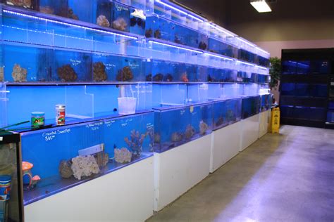 Fish Pet Palace Wv