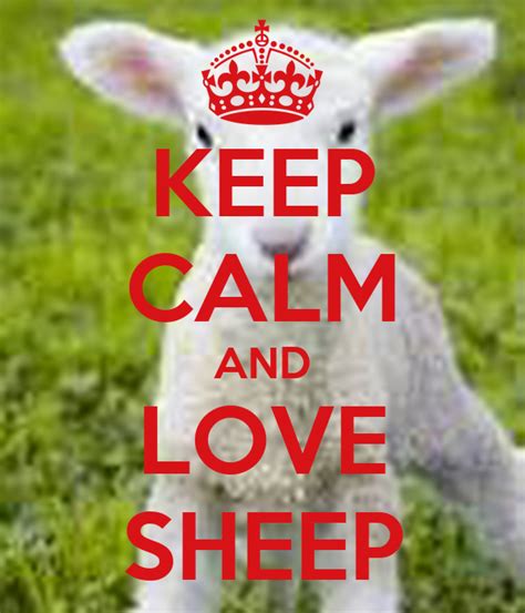 Keep Calm And Love Sheep Poster Matt Keep Calm O Matic