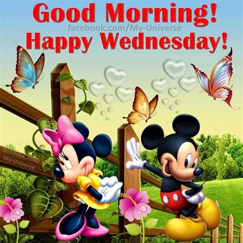 Good Morning Happy Wednesday Pictures Photos And Images